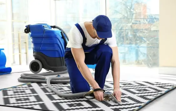 Carpet Care and Maintenance 101: Essential Tips for Homeowners